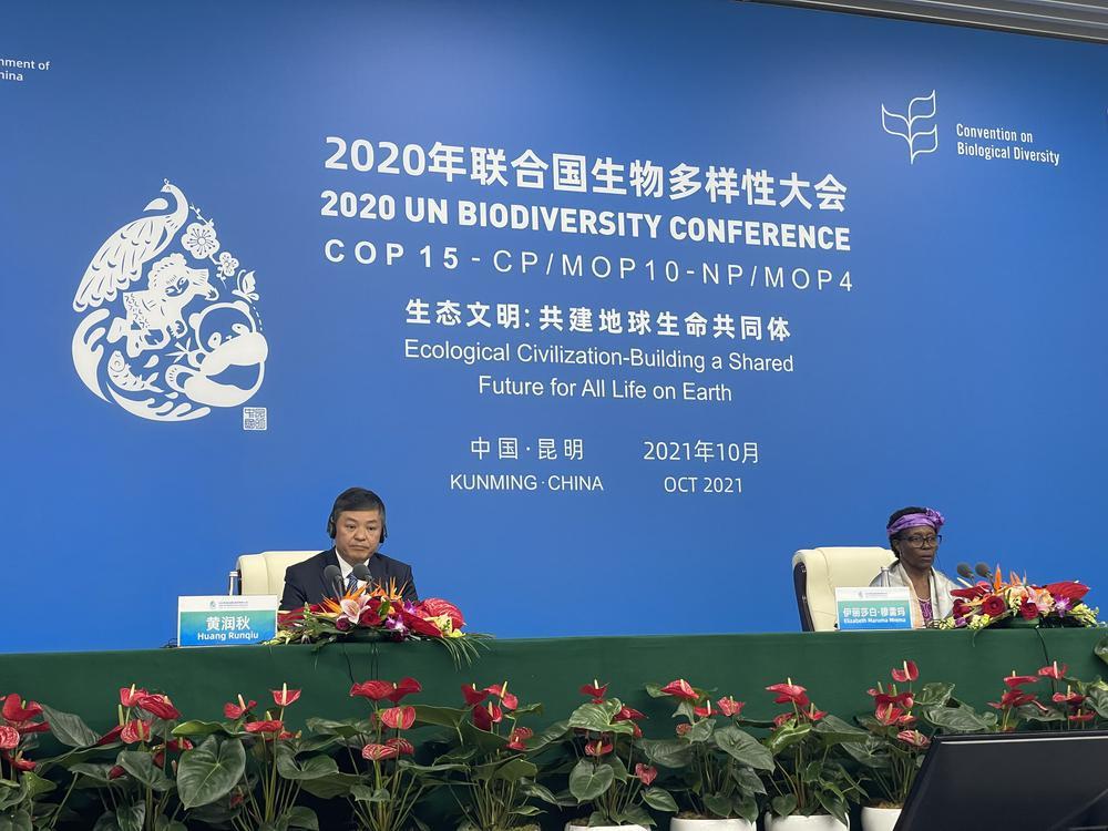 多伦多猛龙迎意大利杯关键赛；冲刺阶段外线爆发；态度坚定；数据趋势出现新变化的简单介绍